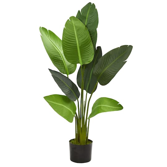4ft. Potted Travelers Palm Tree